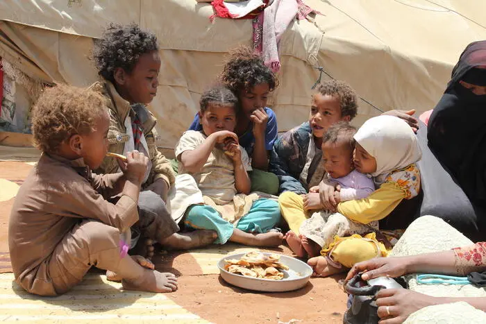 The Yemen Crisis – How U.S.-Backed Saudi Airstrikes Caused Famine and Genocide 2 NRC provided NFI kits - Yemen Crisis
